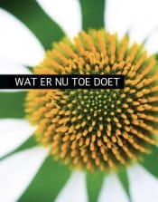 wat er nu toe doet Seth Godin