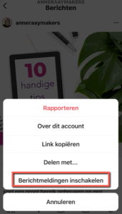 Berichtmeldingen inschakelen Instagram