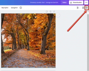 Afbeelding verwijderen Canva