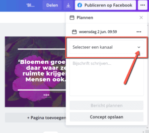 Kanaal selecteren social media inplannen Canva