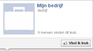 Facebook Mijn bedrijf